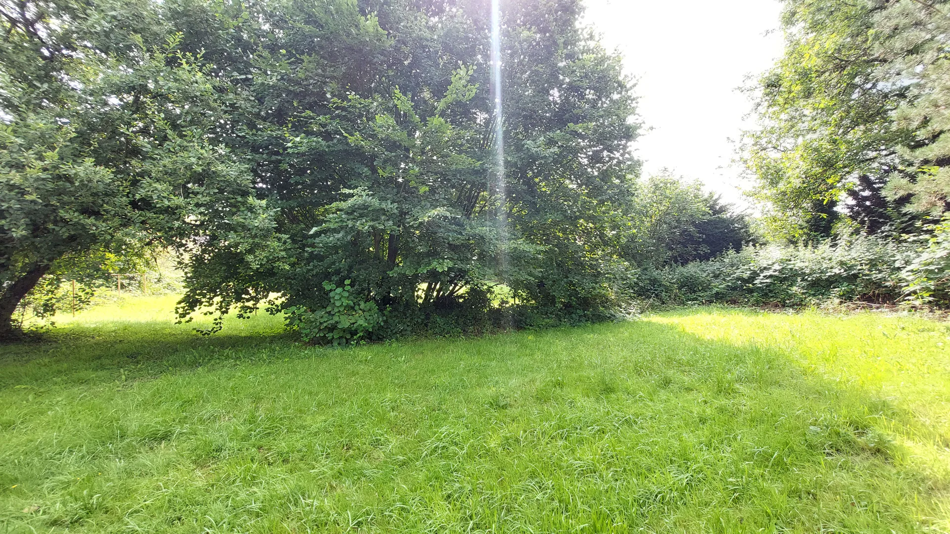 Großzügiges Baugrundstück in ruhiger Lage von Windeck!